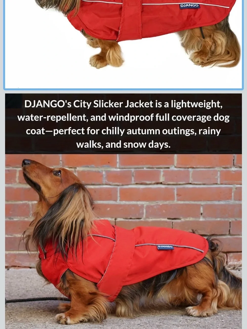 Dog Jacket & Raincoat